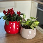 Keramični lonec Deco 02.698.15